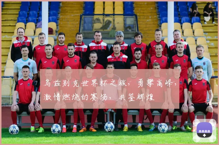 乌兹别克世界杯之旅，勇攀高峰，激情燃烧的赛场，共鉴辉煌