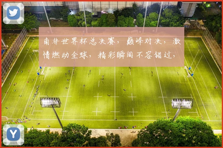 南非世界杯总决赛，巅峰对决，激情燃动全球，精彩瞬间不容错过，共赴盛宴